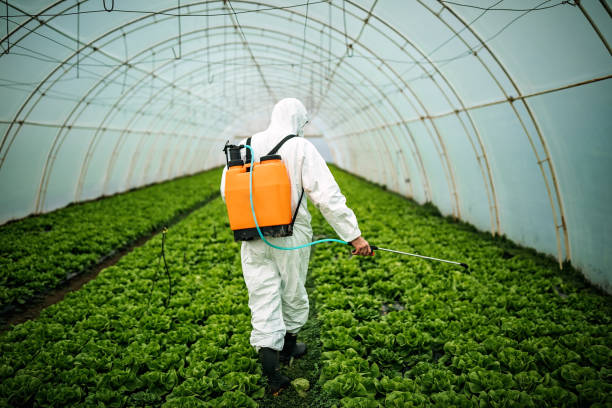 Pest Control for Restaurants in Creve Coeur, IL