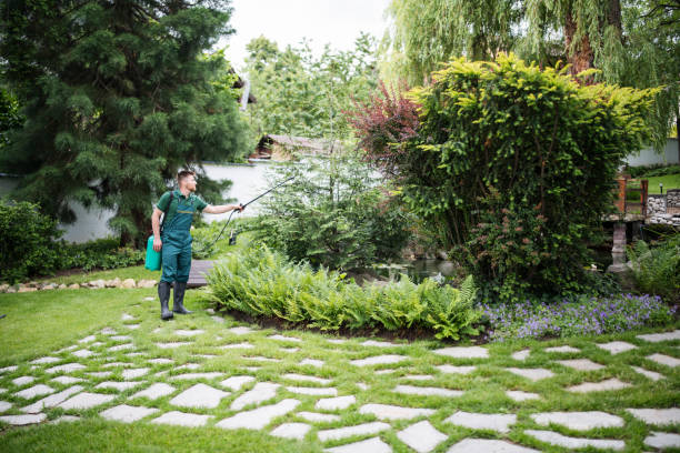 Best Bird Control  in Creve Coeur, IL