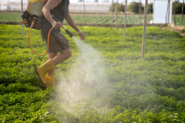 Best Best Pest Control Companies  in Creve Coeur, IL