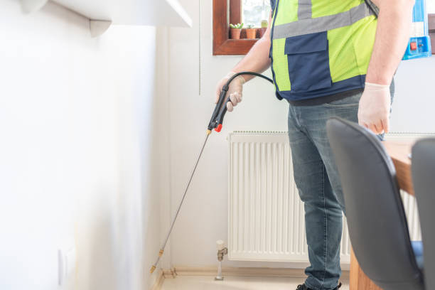 Best Affordable Pest Control Services  in Creve Coeur, IL