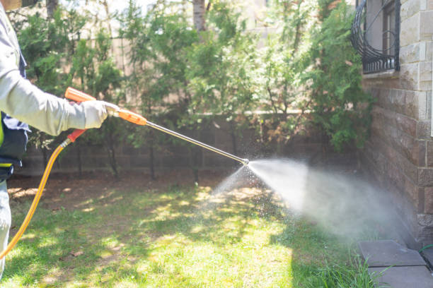 Best Mosquito Control Services  in Creve Coeur, IL
