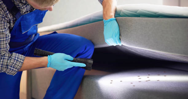 Best Affordable Pest Control Services  in Creve Coeur, IL