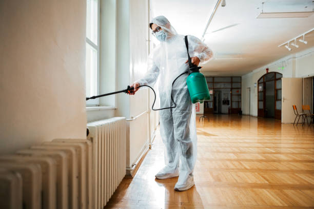 Best Pest Control Near Me  in Creve Coeur, IL