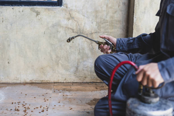 Best Affordable Pest Control Services  in Creve Coeur, IL