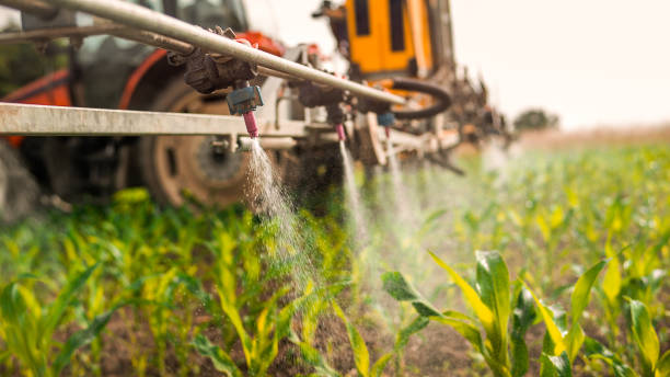 Reliable Creve Coeur, IL Pest Control Solutions
